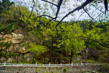 泰山桃花峪风光