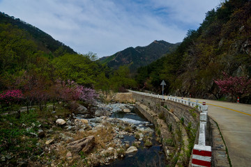 泰山桃花峪风光