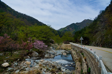 泰山桃花源风光