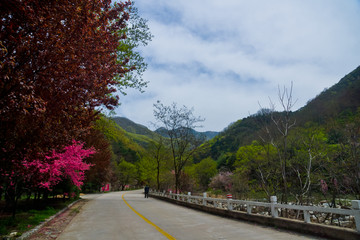 泰山桃花峪