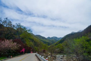 泰山桃花峪风光