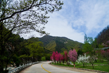 泰山桃花峪风光