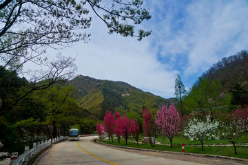 泰山桃花峪风光