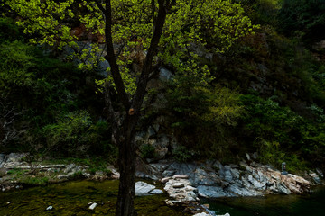 泰山桃花峪