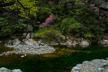 泰山桃花峪