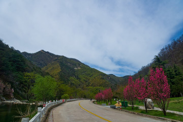 泰山桃花峪风光