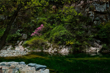 泰山桃花峪