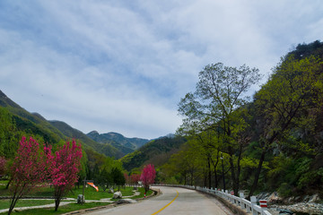 泰山桃花峪