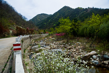 泰山桃花峪风光