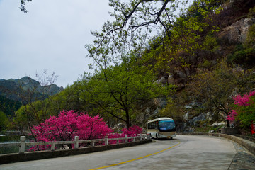 泰山桃花峪风光