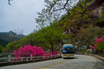 泰山桃花峪