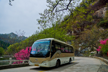 泰山桃花峪风光