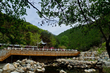 泰山桃花峪风光