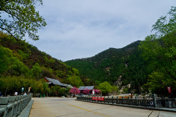 泰山桃花峪风光