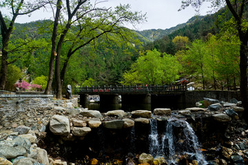 泰山桃花源风光