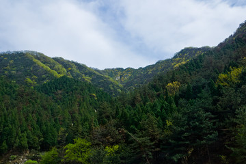 泰山桃花源风光