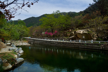 桃花源风光