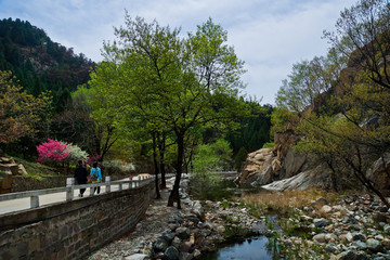 泰山桃花源风光