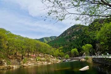 泰山桃花峪风光