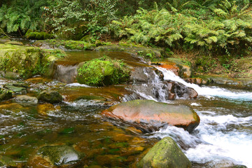 山谷小溪清流