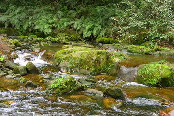 山谷小溪清流