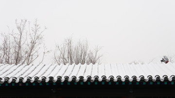 青瓦白雪