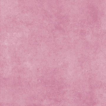 紙