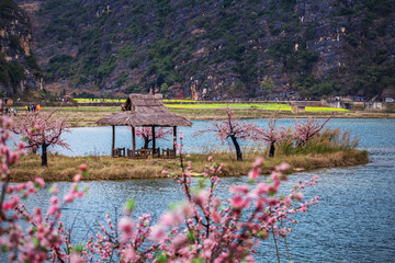 普者黑三生三世十里桃花景区