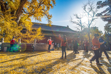 北京大觉寺