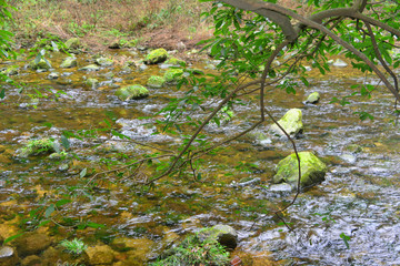 山谷小溪清流