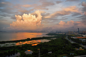 深圳湾后海红树林城市风光晨曦