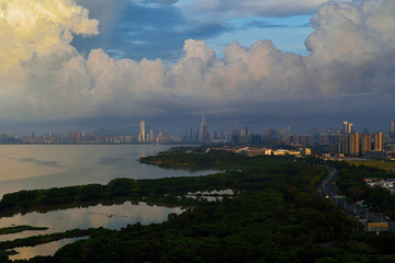 深圳湾红树林晨曦