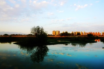 天汉湿地公园