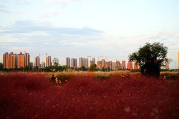 天汉湿地公园