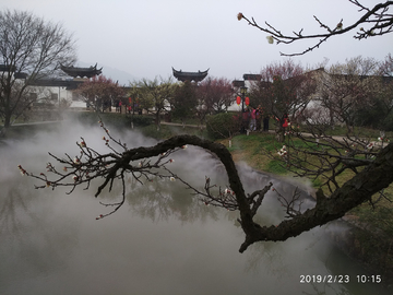 水墨梅花