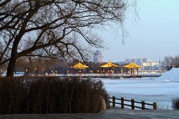 南湖夜景