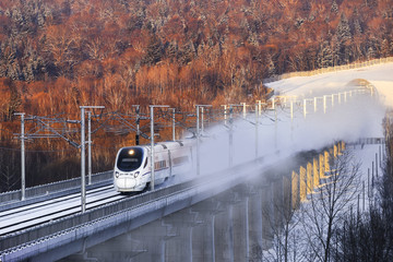 披霜踏雪