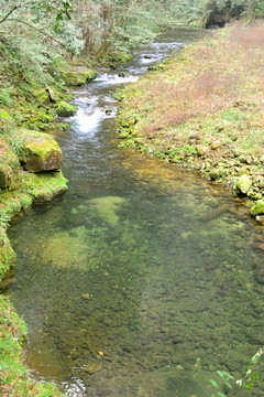 山谷小溪清流