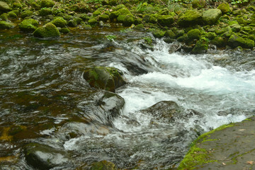 山谷小溪清流