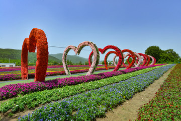 花海