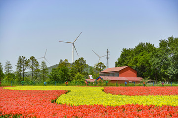 花海