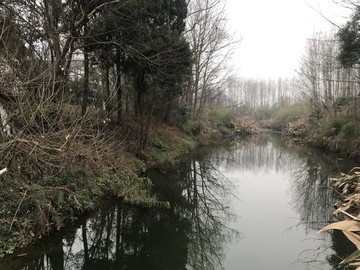 崇州桤木河湿地公园