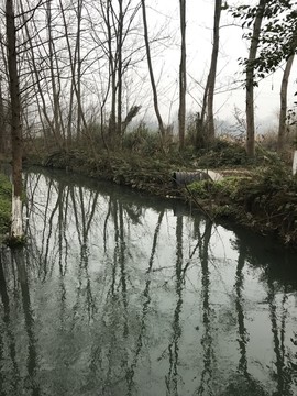 崇州桤木河湿地公园