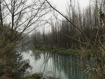 崇州桤木河湿地公园