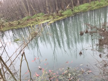 崇州桤木河湿地公园