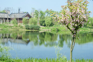 东坡城市湿地公园水边景观