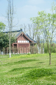 公园绿地和小屋