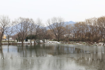 冬季玄武湖23