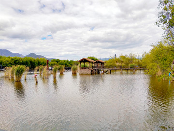 丽江拉市海湿地风景