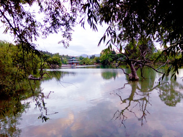 丽江黑龙潭风景